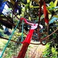 thumbnail image 3 of Recortadora de ramas, podadora de pértiga, tijeras para plantas y cortadores de frutas para poda elevada Juego de herramientas de jardinería de alto alcance, 3 of 8