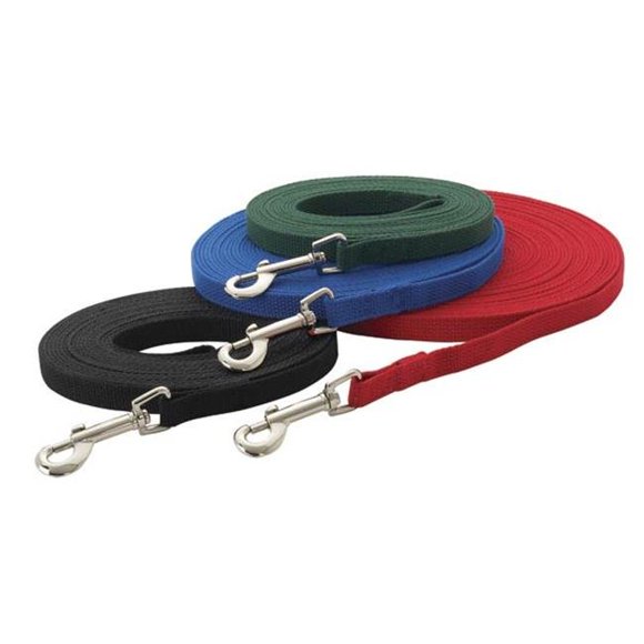 Guardian Cotton Web Training Lead 20 Ft Red