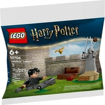 LEGO Harry Potter Quidditch Lesson - Includes Harry Potter Minifigure, Snitch, and Quaffle - Building Set for Kids - 30706
