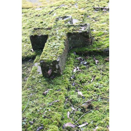 LAMINATED POSTER Cemetery Sculpture Grave Paris Cross Moss Poster Print 24 x