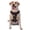 Without Accessories, variant on Vsdgher Lgbt Rainbow For Pride Pattern Dog Harness,No Pull Pet Harness with Soft Padded Handle,Adjustable Reflective Vest with 2 Buckles,4 Slide Buckles,S-XL X-Large