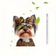 thumbnail image 2 of Xihbxyly Llavero de Animalito Divertido y Adorable, Colgante Acrílico Plano 2D, Impermeable, para Decorar El Espejo Retrovisor Del Coche, Ideal para La Oficina o El Hogar, Regalo Perfecto para Amigos, 2 of 6
