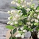 thumbnail image 4 of RKSTN artificial flowers for outdoors Berry, Olive, Fruit Branch, Simulated Flower, Home Decoration, Flower Wall, Plant Wall, Artificial Flower, 4 of 4