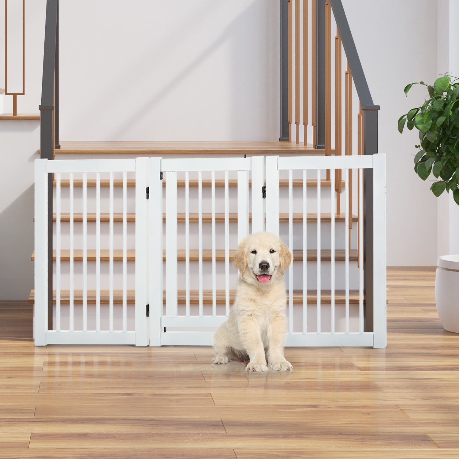 barrier dog