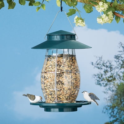 - Green Hanging Outdoor Squirrel Proof Bird Feeder with Round Perch
