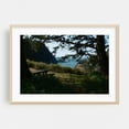 thumbnail image 2 of Untitled - California Photography Coast Nature Ocean Scenic Forest Landscape Unframed Wall Art Print 5 x 7 inches, 2 of 7