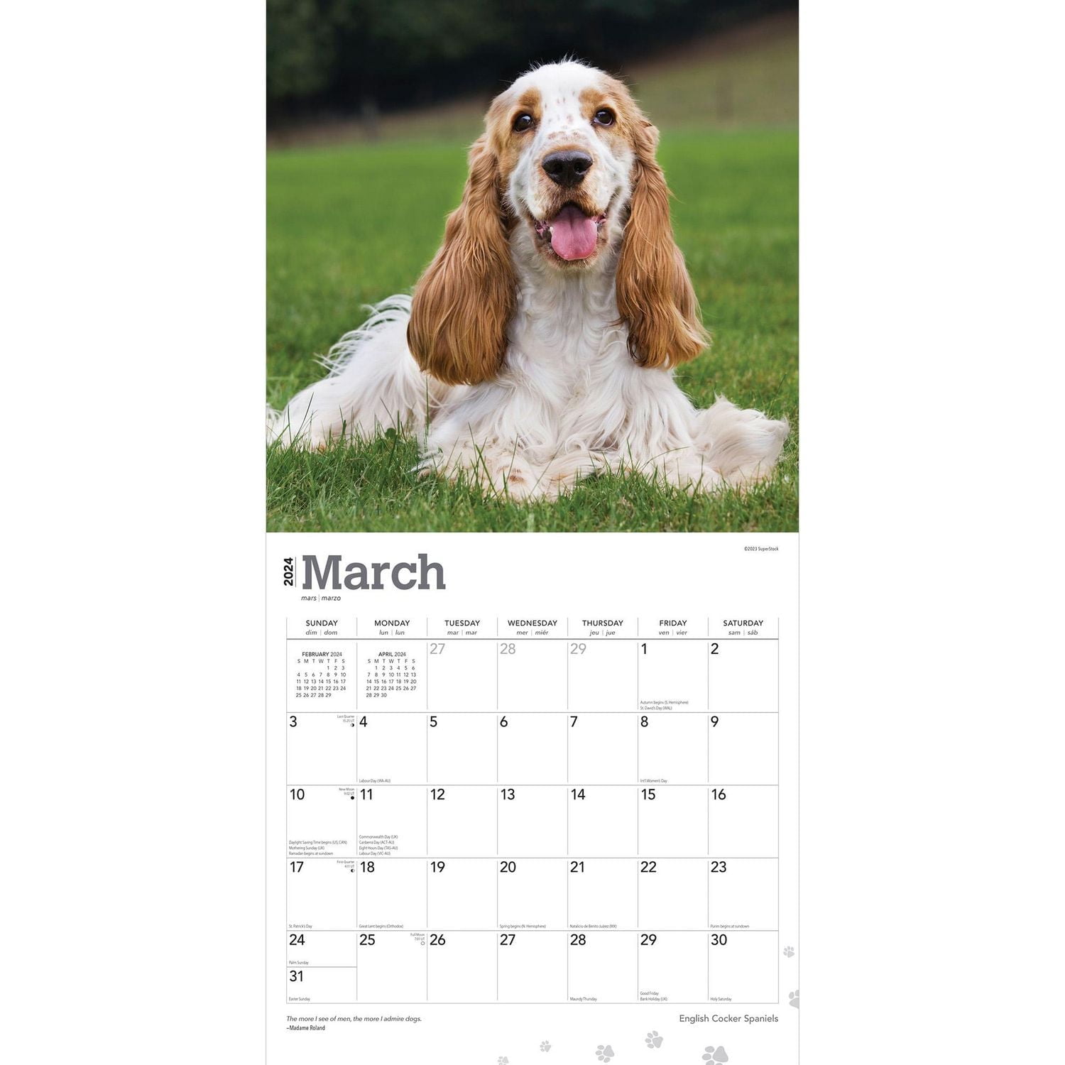 BrownTrout English Cocker Spaniels 2024 12x24 Inch Square Wall Calendar, 9781975467876