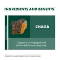 thumbnail image 4 of Host Defense Chaga Capsules - 60 Capsules (30 Servings), 4 of 7