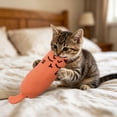 thumbnail image 4 of PoyoKee Interactive Cat Toys for Indoor Cats, 6" x 2.4" Real Catnip Small Soft Catnip Toys, Lightweight Puppy Essentials for Batting Carrying, Orange, 4 of 8