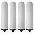 thumbnail image 1 of Ceramic Water Filters 4-Pack for Filtration Systems, 1 of 5