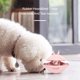 thumbnail image 2 of Juguete de bola de golosina para perros, bola de comida de vaso dispensador interactivo Pet IQ, dispensador de tazón de alimentación para entrenamiento de mascotas para perros y gatos que juegan, 2 of 6