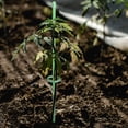 thumbnail image 5 of Plant Support Stakes,Set of 19 Durable Garden Stakes for Vegetable,Yahome Portable Flower Support Tool for Tomatoes,Flower Use, 5 of 6