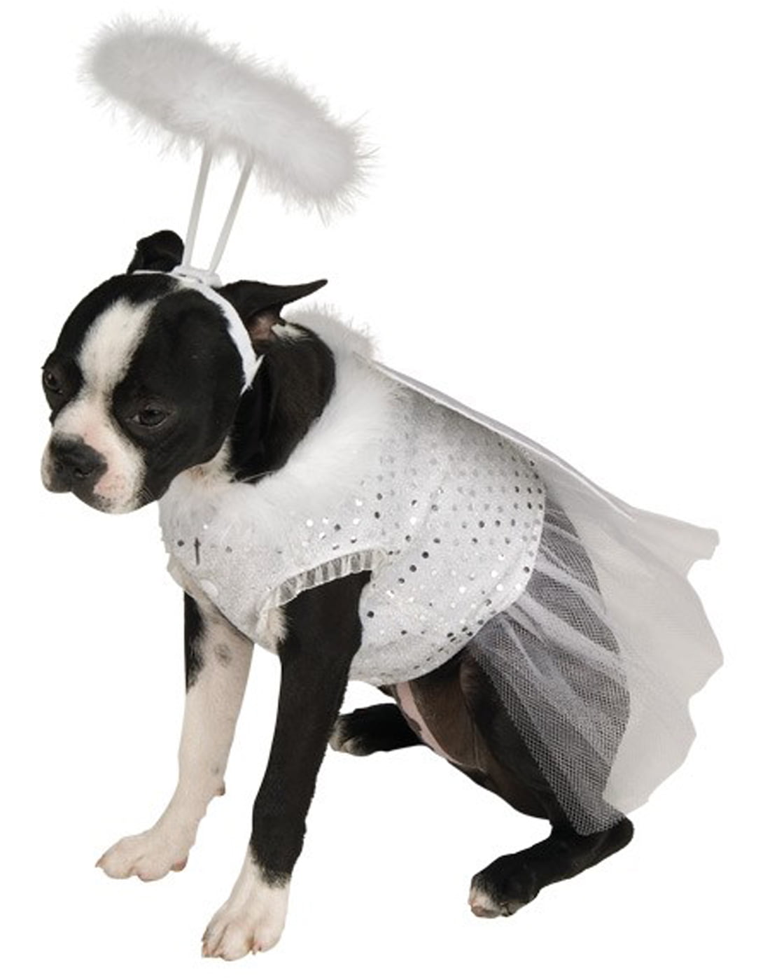 Pet angel. Карнавальные костюмы для собак. Костюм собаки. Костюмы для собак маскарадные. Костюм для собаки на Хэллоуин.