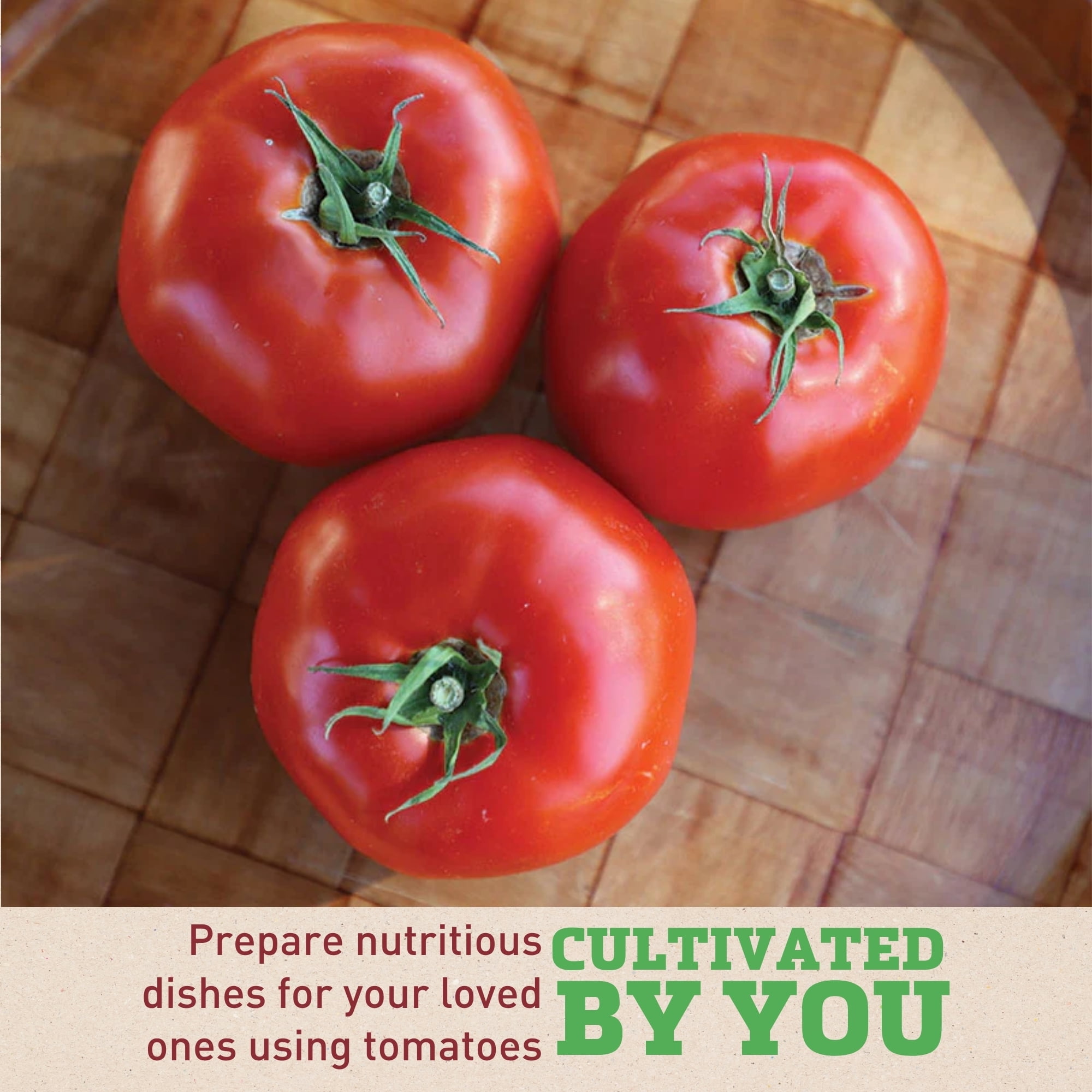Harris Seeds Mountain Fresh Plus F1 Tomato, Determinate Red Slicer Variety, Treated, 500 Count