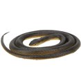 thumbnail image 4 of Serpent, Simulation Serpent Modèle Jouet Farceur Trucs pour Adultes, 4 of 8