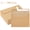 kraft, variant on HOHAHO 100 Pack Kraft Paper A6 Envelopes for 4x6 cards , Self-Seal,peal &stick, Perfect for Wedding Baby Shower Conferences, Parties Photo, 4.25x6.25 inch