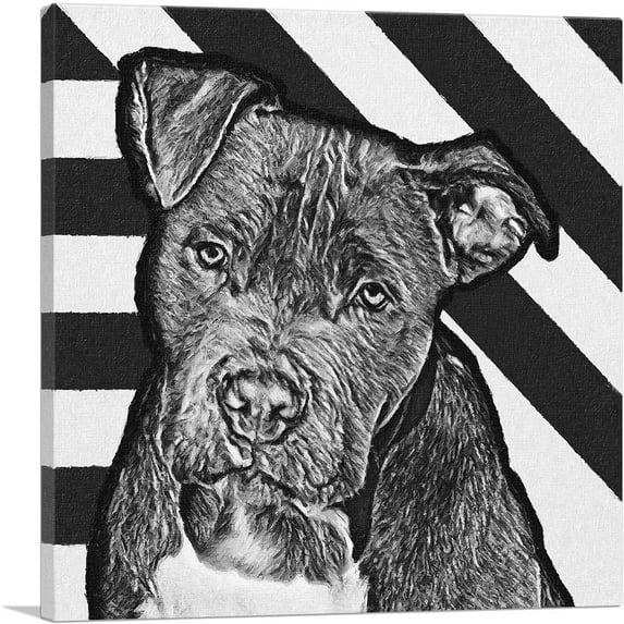 ARTCANVAS Cane Corso Dog Breed Black White Stripes Canvas Art Print - Size: 18" x 18" (1.50" Deep)