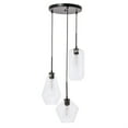 thumbnail image 3 of Gene 3 light Black and Clear glass pendant, 3 of 5