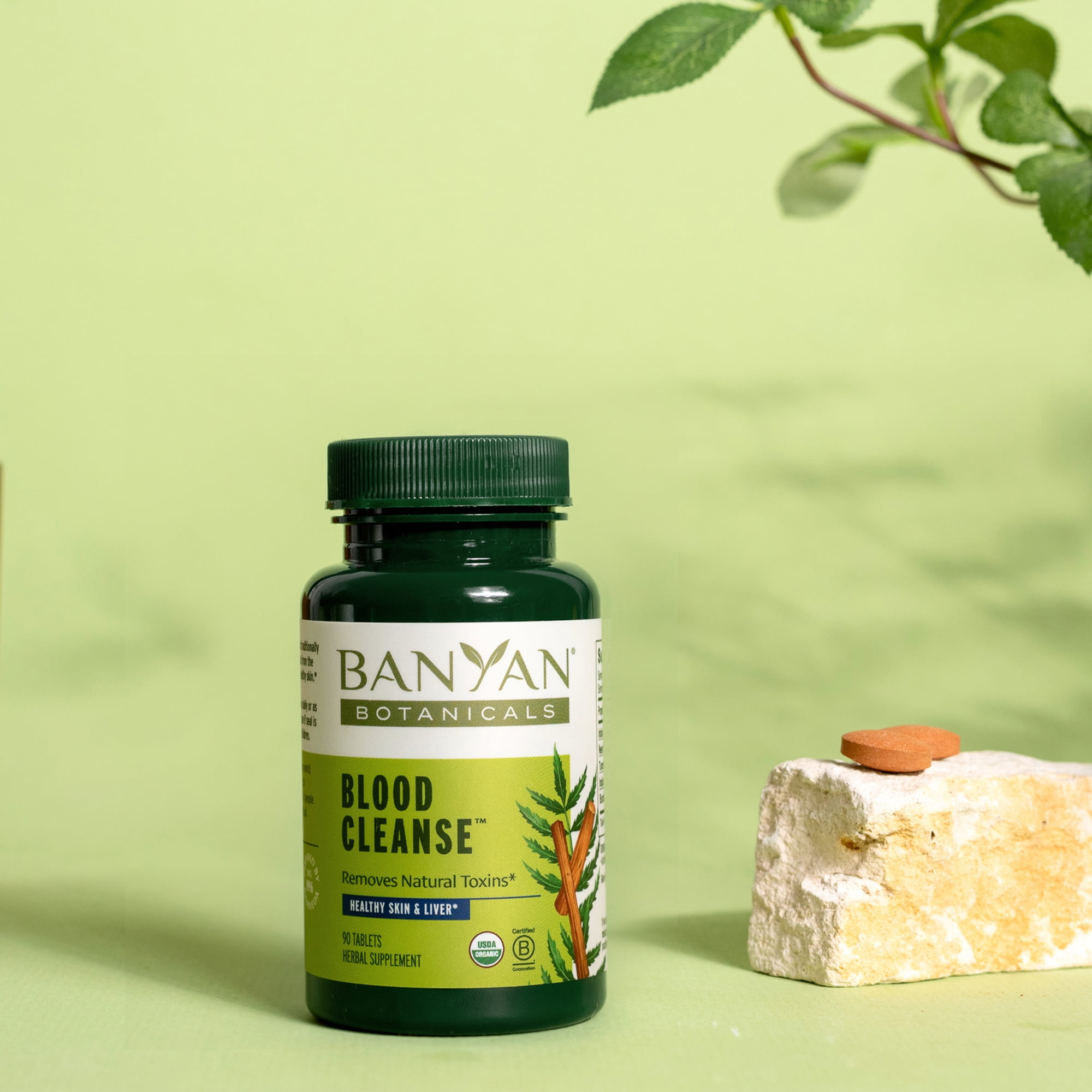 Banyan Botanicals Blood Cleanse Tablets – Organic Supplement with Manjistha & Turmeric – Blood Cleansing Herbs for Detox, Healthy Circulation & Skin* – 90 Tablets – Non GMO Sustainably Sourced Vegan