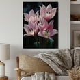 thumbnail image 2 of Designart "Pink Flowers captivate Tulips On Black" Floral Print on Natural Pine Wood, 2 of 5