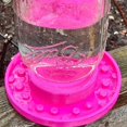 thumbnail image 5 of Bee Watering Station Mason Jar | Mason Jar Sugar Water Feeder For Bees | Sugar Water & Honey Bee Entrance Feeder, Garden Bee Cups, Efficient Beehive Entrance Feeder, Beekeeper Tool, 5 of 9