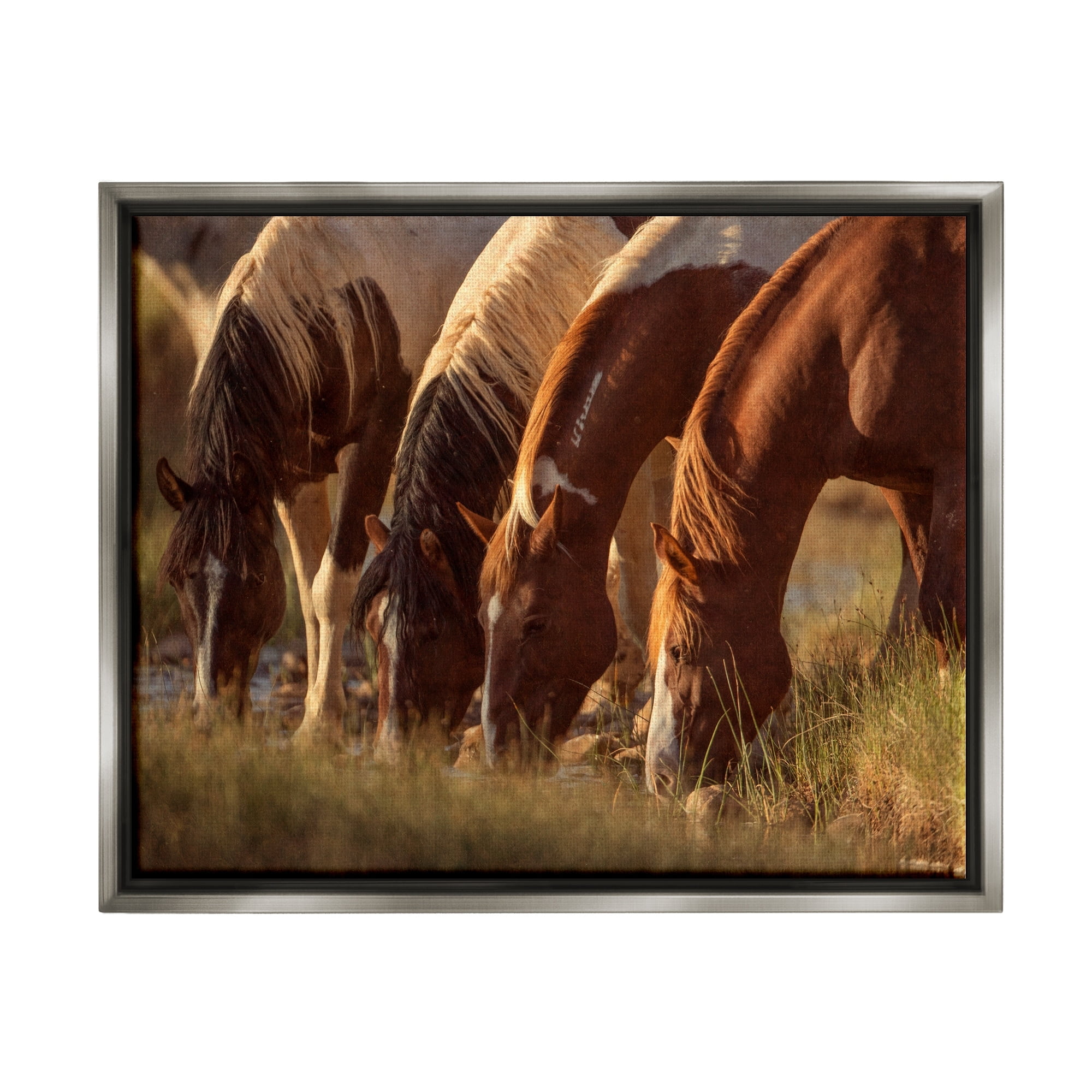 Stupell Industries Sunlit Horses Drinking Water Wildlife Nature Scene Photograph Luster Gray Floating Framed Canvas Print Wall Art, Design by Jan Walters