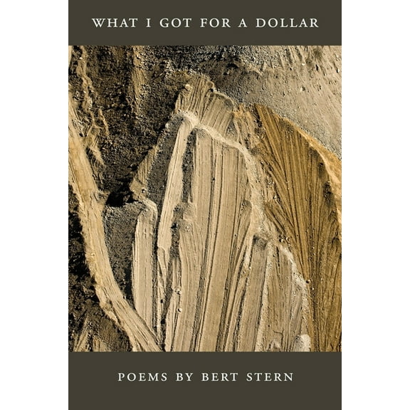 What I Got for a Dollar (Paperback)