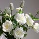thumbnail image 3 of Xiao Hua 3 piezas de flores artificiales de tacto real para decoración del hogar, oficina, boda, arreglo floral (blanco, 22,8 pulgadas de largo), 3 of 5