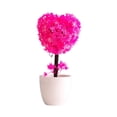thumbnail image 1 of LUXLEVO Heart Shaped Bonsai Mini Potted for Home Desk White Ornamental Tabletop Earthy Home, 1 of 6