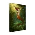 thumbnail image 2 of Trademark Fine Art 'Underneath It All' Canvas Art by Howard Lyon, 2 of 3