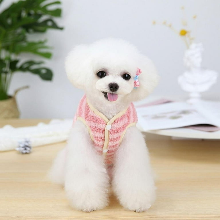 Toy breed dog clearance clothes