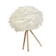 thumbnail image 1 of LED Feather Table Lamp Desk Light Romantic Reading Lamp for Home Dorm Decoration Gloria Lámpara de escritorio, 1 of 9