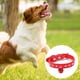 thumbnail image 3 of Gamuza elegante, deslumbrante, brillante y elegante, 3 filas de gemas de cristal brillantes para perros y gatos, 3 of 5