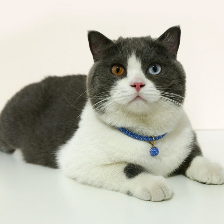 Cat necklace collar sales