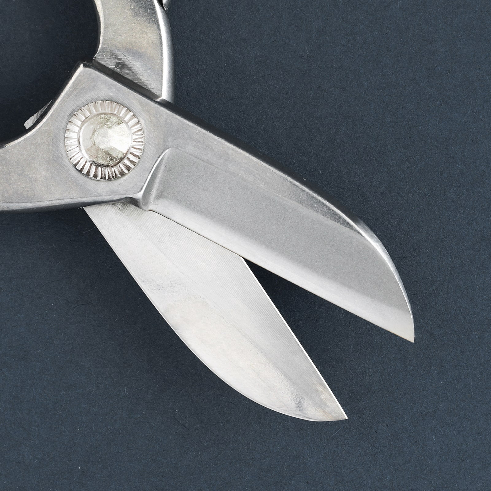 Wazakura Made in Japan Yasugi Stainless Steel Koryu Floral Scissors 6.5"