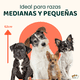 thumbnail image 3 of Casa para Perro Mediano Chico MascoAmigo con Puerta Metálica Térmica plastico 75x65x63 cm Rojo, 3 of 8
