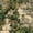 Color 2, variant on Peel and Stick Wallpaper Vintage Distressed Brick Wall Ivy Peeling Paint rustic Wall Mural 17.7in x 9.8ft Self Adhesive Removable Wall Paper Renter Friendly Wallpaper for Bedroom Cabinets
