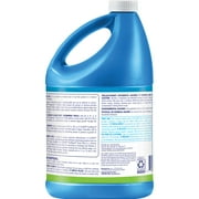 Clorox Pool&Spa Algaecide + Clarifier