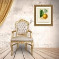 thumbnail image 3 of Risso, A. 26x32 Gold Ornate Wood Framed with Double Matting Museum Art Print Titled - French Lemon Botanical I, 3 of 4