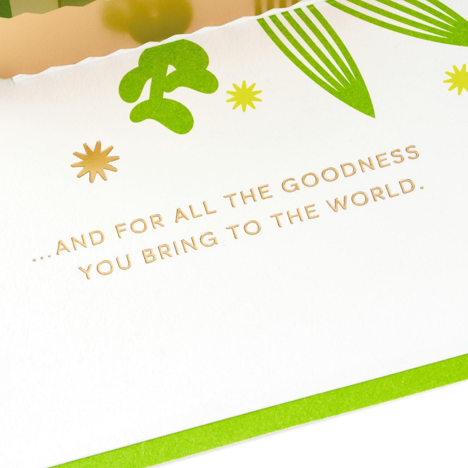 Carte Signature de remerciement en relief – Paper Wonder de Hallmark – Plante succulente (Carte pour la Journée des infirmiers/infirmières, et pour les professeurs)
