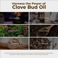 thumbnail image 6 of Viva Doria Pure Food Grade Clove Bud Essential Oil, 1 fl oz, 6 of 9