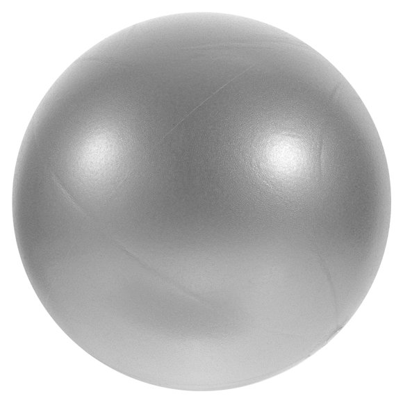 SKISUNO Exercise Ball for Pregnancy 1Pack Silver PVC Back and Core Strength