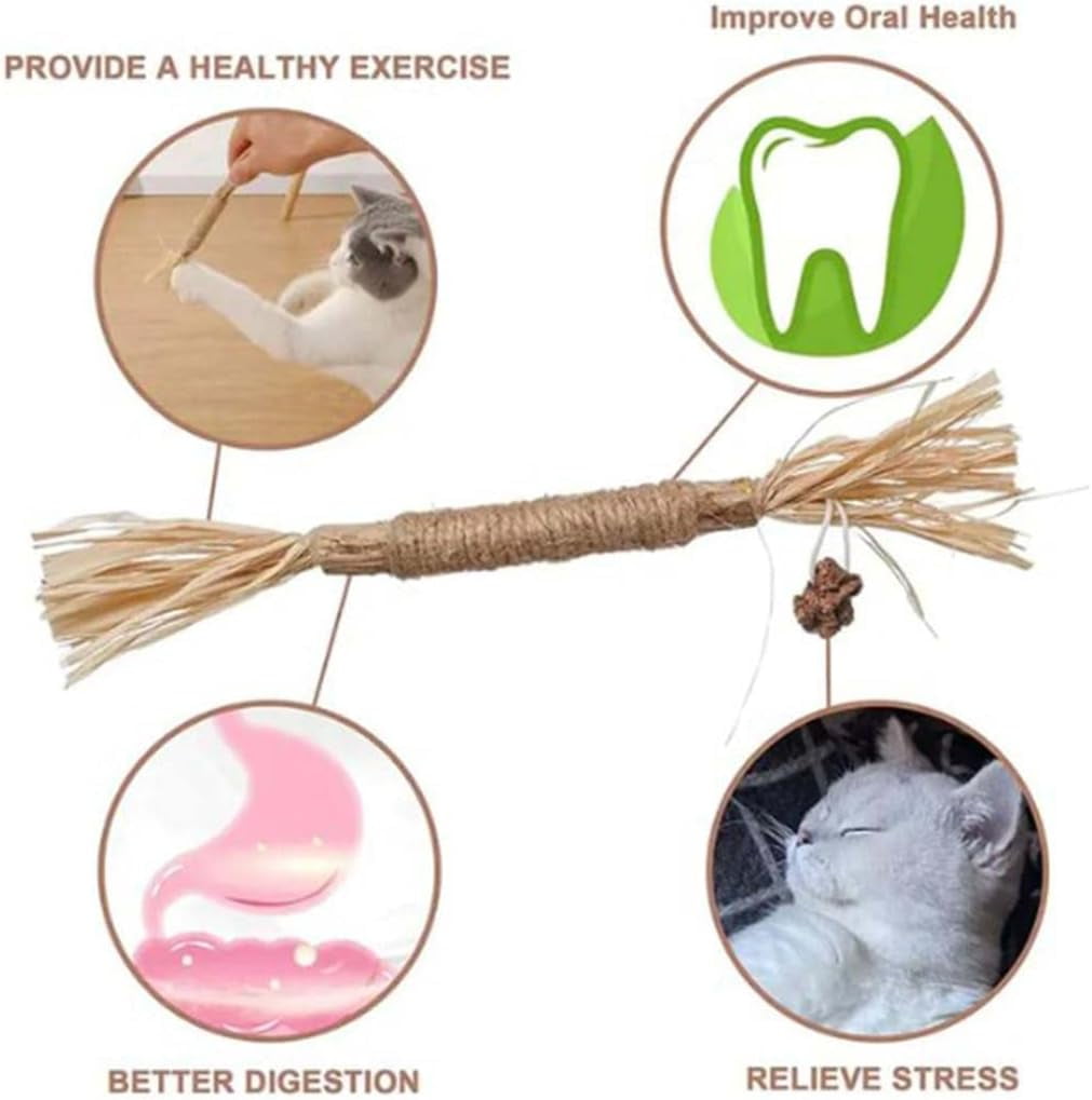 Silvervine Sticks for Cats, Natural Silvervine Dental Sticks, Natural Silvervines Stick Cat Chew Toy for Bored Indoor Kitty, Promote Dental Health, Engage & Entertain (2PCS,4CM-A)