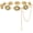 D-gold Chain, variant on Western Chain Belt for Women Concho Silver Link Chain Belts for Jeans Dresses