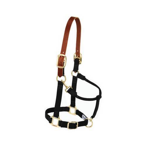 Weaver Leather 356026NV Horse Halter, Breakaway, Navy Nylon/Leather