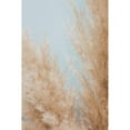 thumbnail image 3 of 1x Studio III 17x24 Black Modern Framed Museum Art Print Titled - Pampas Close 01, 3 of 5
