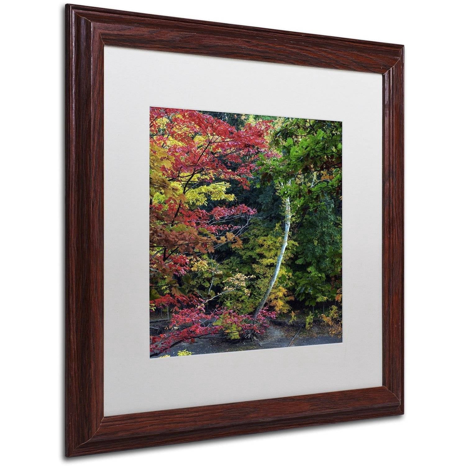 Trademark Fine Art "All the Colors of October in Ohio" Canvas Art by Kurt Shaffer, White Matte, Wood Frame