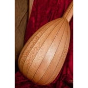 Roosebeck 7-Course Descant Lute