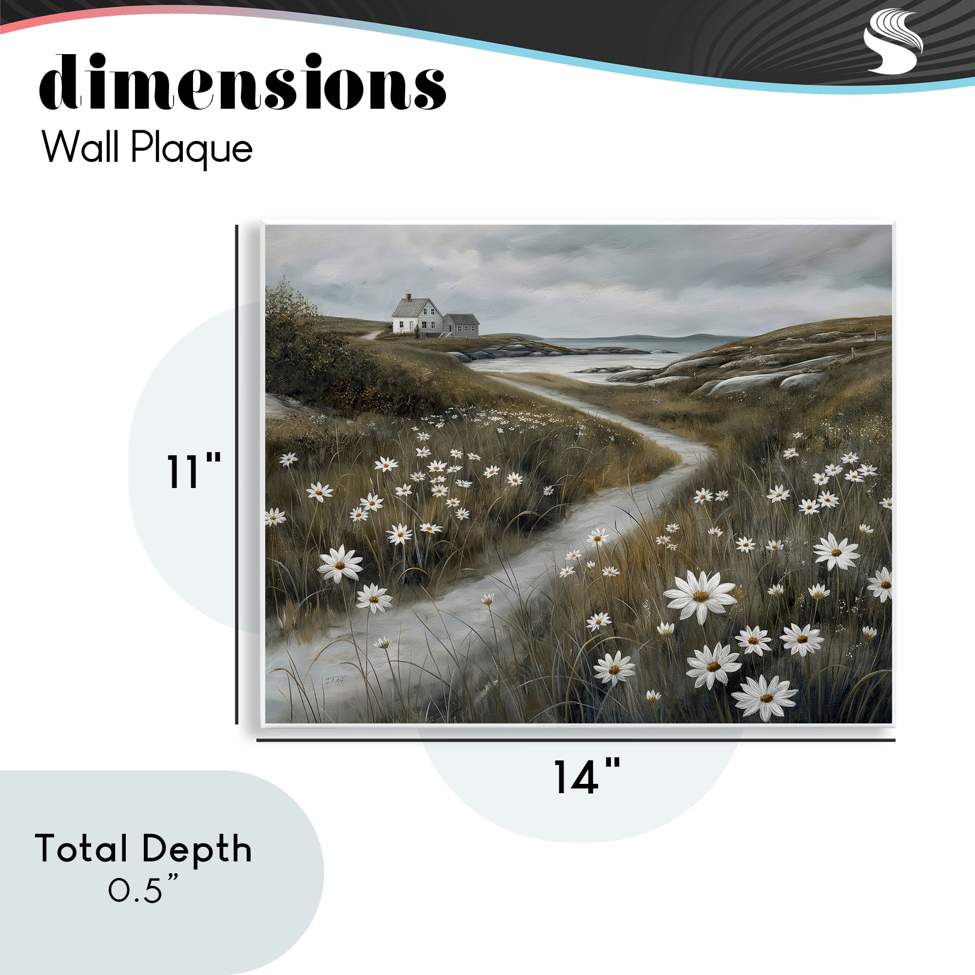Stupell Industries Daisies Along Coastal Path Wall Plaque Art, design by Imagine It Images