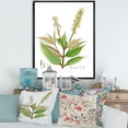thumbnail image 2 of Designart 'Ancient Brazilian Plant V' Traditional Framed Canvas Wall Art Print, 2 of 5